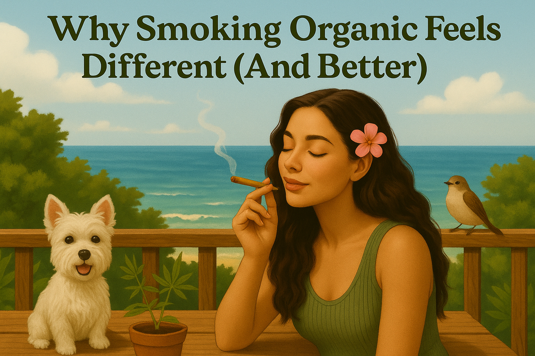 Why Smoking Organic THCa Feels Different (And Better) | Miss Naturalist