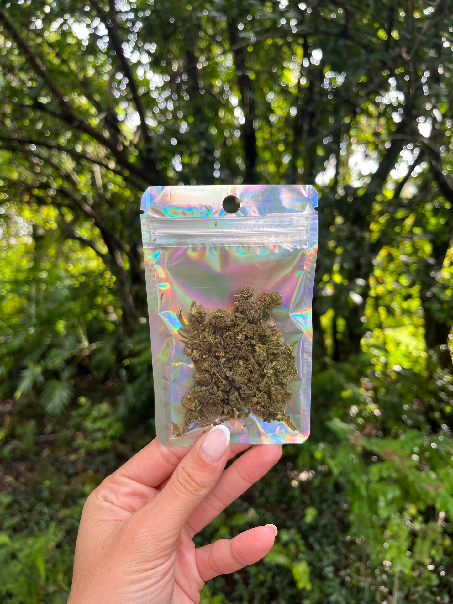 Orange Gas (Smalls) β’ Limited Edition Strain | 3.5g β’ Miss Naturalist